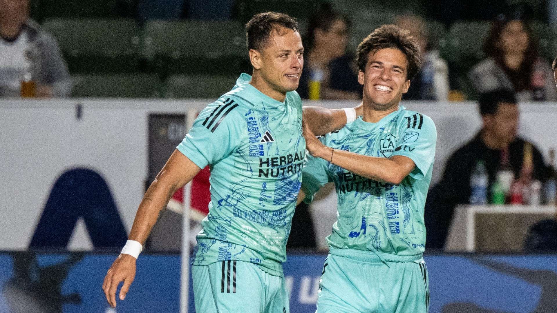 的职业精神 的职业精神